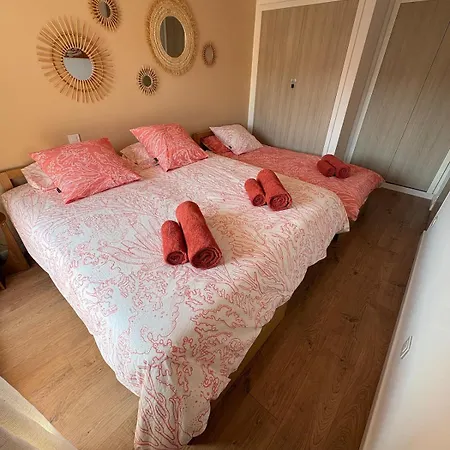Le Corail, Terrasse, Parking Prive, A 5min Apartment